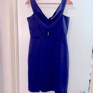 NWOT. New without tags. Navy dress with Zip back. Great for work or date night.